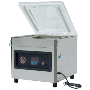ENVASADORA DE VACIO DZ-500T