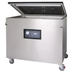 ENVASADORA DE VACIO DZ- 900/2L CON GAS